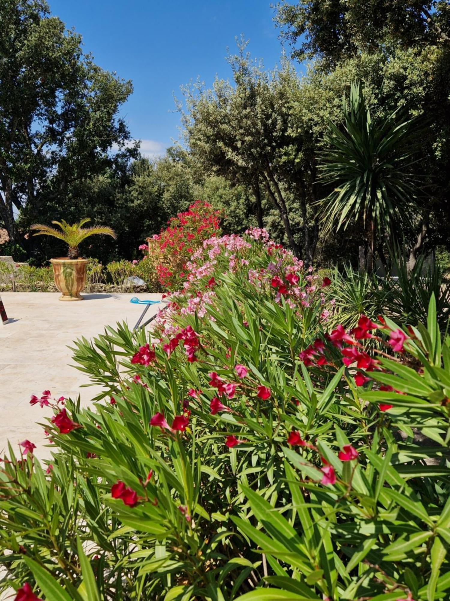 La Cigaliere Villa L'Isle-sur-la-Sorgue Bagian luar foto